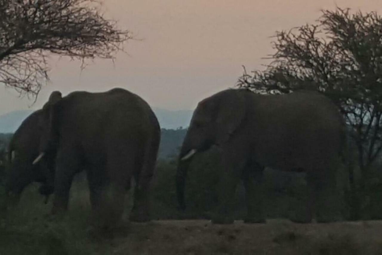 Mabula Game ReserveKubu Khaya Mabalingwe别墅 外观 照片